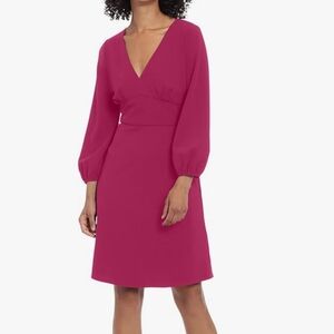 NEW Donna Morgan Women's Long Sleeve V-Neck Dress Size 4